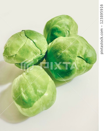 Brussels sprouts stock photo Brussels sprouts stock photo 123895916