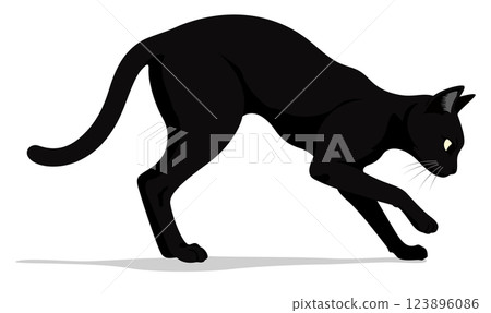 A Sleek Black Cat is stealthily observing its surroundings in a lowprofile stance A Sleek Black Cat is stealthily observing its surroundings in a lowprofile stance 123896086