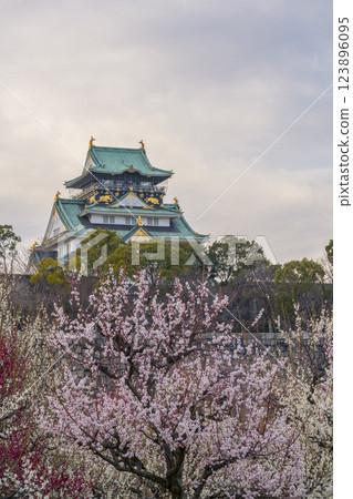Osaka Castle Plum Grove: Plum blossoms in full bloom and the Osaka Castle tower shining in the evening light 123896095