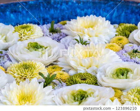 A beautiful flower water fountain decorated with January's seasonal flowers 123896210