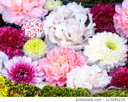 A beautiful flower water fountain decorated with January's seasonal flowers 123896228