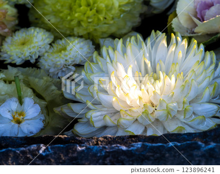 用一月份的當季鮮花裝飾的美麗花水噴泉 用一月份的當季鮮花裝飾的美麗花水噴泉 123896241