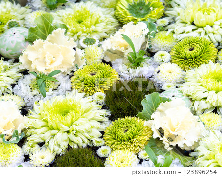 A beautiful flower water fountain decorated with January's seasonal flowers 123896254