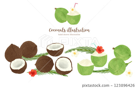 Various coconut hand-drawn illustrations / wide 123896426