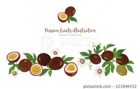 Hand-drawn illustration of passion fruit / wide 123896432