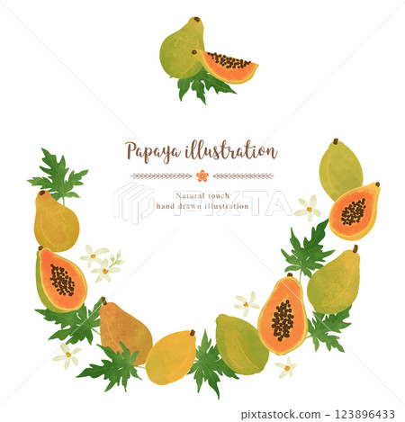 木瓜手繪插圖/圓圈 123896433