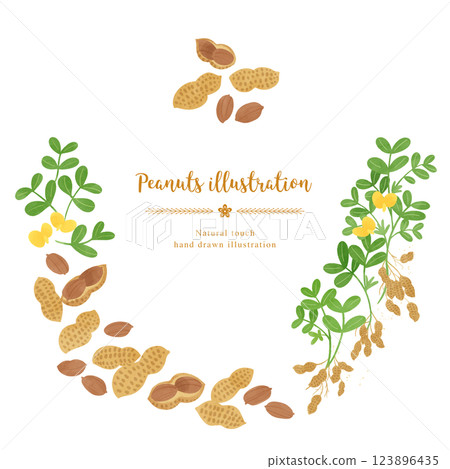 Peanuts hand drawn illustration/circle 123896435