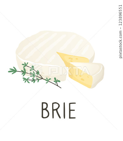 Soft white round brie cheese with thyme. Camembert, brie cut piece. Organic farm food. Design element, cartoon flat illustration for logo, poster, menu. Isolated on white background. Vector 123896551