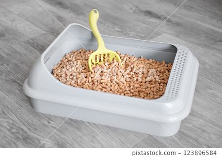 Cat toilet clean filled with wood granules. Wooden cat litter 123896584
