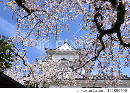 Sakura Castle Sakura Castle 123896796