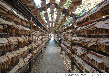 Experience the Tunnel of Ema at Kawagoe Hikawa Shrine Dec 9 2024 Experience the Tunnel of Ema at Kawagoe Hikawa Shrine Dec 9 2024 123897103