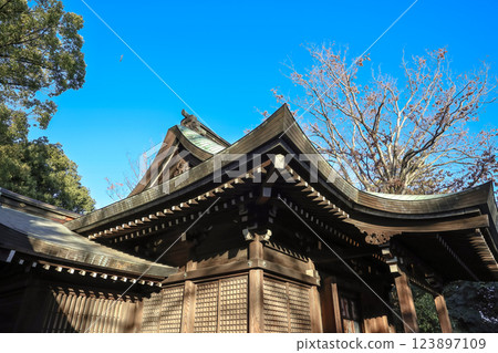 Japanese Shrine Amid Lush Green Forest Landscape Dec 9 2024 123897109