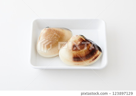 Beautiful and magnificent clams Beautiful and magnificent clams 123897129