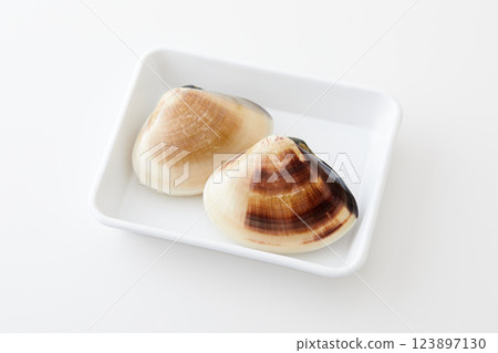 Beautiful and magnificent clams 123897130