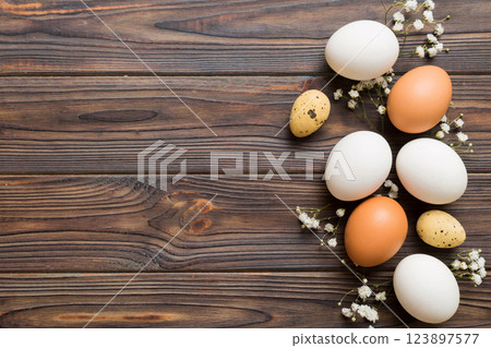 Happy Easter composition. Easter eggs on colored table with gypsophila. Natural dyed colorful eggs background top view with copy space 123897577