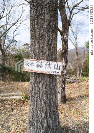 八伏嶽山頂（大阪府茨城縣） 123898525