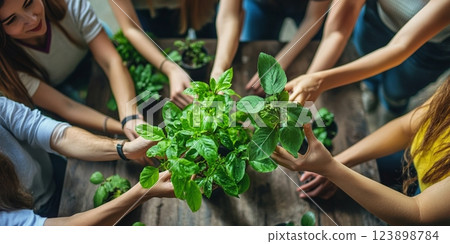 Diverse Group of People Carefully Planting Green Herbs Together Indoors 123898784
