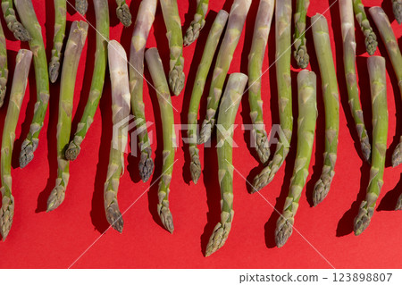 Green asparagus on red background. Vegetable food top view. 123898807