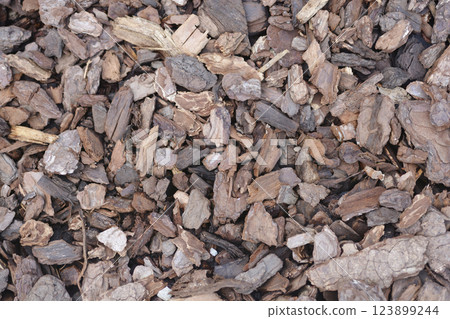 Bark mulch 123899244