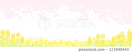 櫻花和油菜花田的柔和輪廓 123899443
