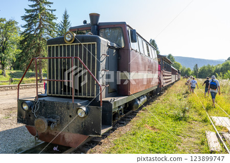 Carpathian tram. Steam locomotive on a narrow-gauge railway. Old transport in the forest. 123899747