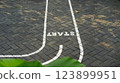 Start line on a brick path motivation challenge beginning journey ahead 123899951