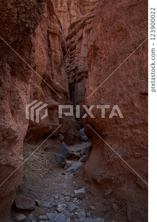 Hiking trail at the bottom of the canyon Hiking trail at the bottom of the canyon 123900022