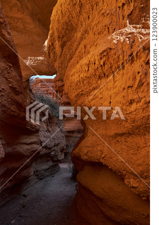 Narrow path inside the canyon 123900023