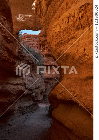 Hiking trail at the bottom of the canyon Hiking trail at the bottom of the canyon 123900024