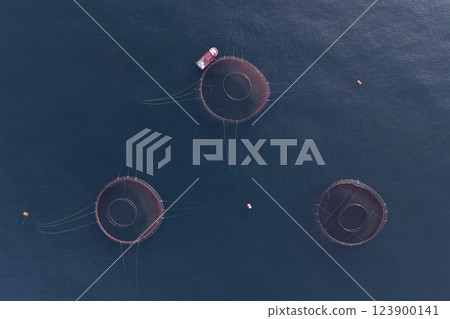 Image of fish ponds, the main form of aquaculture. Salmon, sea bass, sea bream and trout are the most commonly grown fish in fish ponds used for commercial fishing in the sea, lakes and ponds. Image of fish ponds, the main form of aquaculture. Salmon, sea bass, sea bream and trout are the most commonly grown fish in fish ponds used for commercial fishing in the sea, lakes and ponds. 123900141