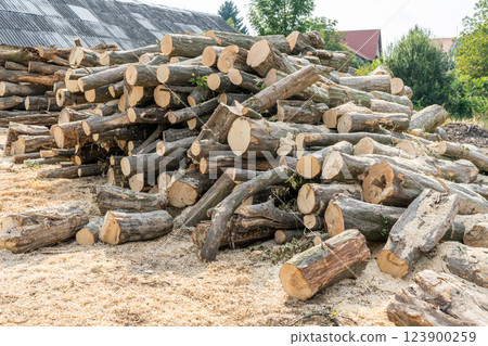 Sawn logs at a sawmill. Sawn logs at a sawmill. 123900259