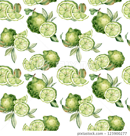 Bright lime fruit pattern isolated on white. Watercolor seamless design with green limes, slices, and leaves hand drawn botanical style. For textiles, wallpaper, packaging, and fresh tropical decor. Bright lime fruit pattern isolated on white. Watercolor seamless design with green limes, slices, and leaves hand drawn botanical style. For textiles, wallpaper, packaging, and fresh tropical decor. 123900277