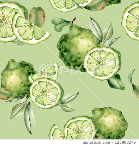 Lime citrus seamless pattern isolated on green. Hand painted watercolor design with juicy lime slices and leaves on repeated texture. For fabric, wrapping paper, kitchen decor, and summer prints. Lime citrus seamless pattern isolated on green. Hand painted watercolor design with juicy lime slices and leaves on repeated texture. For fabric, wrapping paper, kitchen decor, and summer prints. 123900279