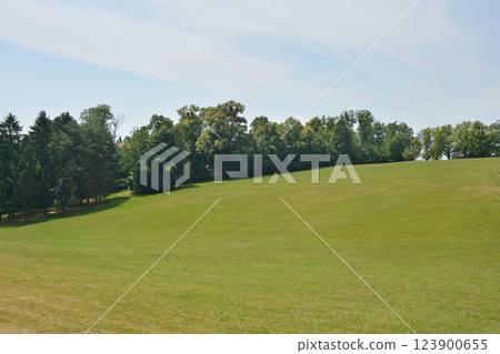 Cmrok meadow Cmrok meadow 123900655