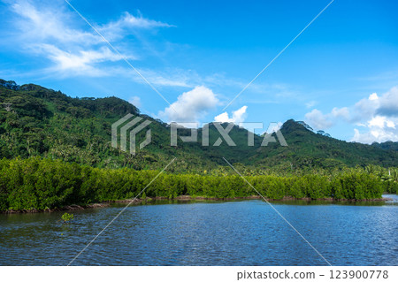 Mangrove on the Coast of Tahaa Island, French Polynesia 123900778