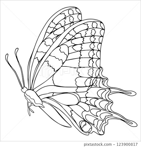 Butterfly black ink line art illustration. Insect butterfly for coloring page, tattoo silhouette, hand drawn stickers. Winged gorgeous animal. Vector illustration, isolate on white background. 123900817