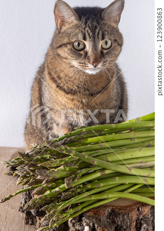 Bunch of green asparagus 123900863