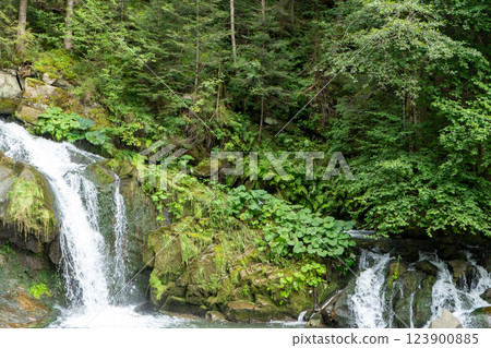 Mountain waterfall in the forest. Green nature. 123900885