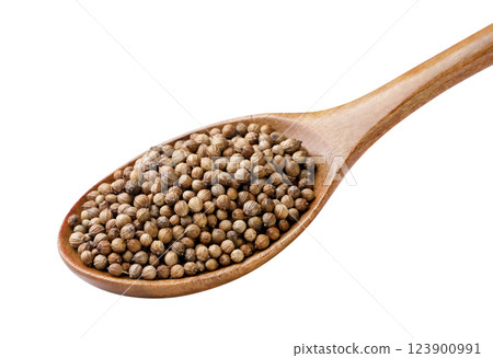 Dried coriander seeds in a wooden spoon close-up on a white. Isolated Dried coriander seeds in a wooden spoon close-up on a white. Isolated 123900991