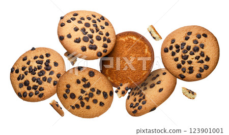 Chocolate chip cookies flying a on white background. Isolated Chocolate chip cookies flying a on white background. Isolated 123901001