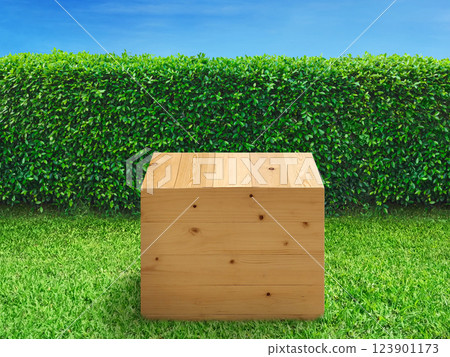 Empty wooden crates on a lawn with a fence or tree wall as a background. Empty wooden crates on a lawn with a fence or tree wall as a background. 123901173