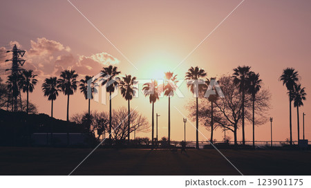 Sodegaura Seaside Park evening view Sodegaura Seaside Park evening view 123901175