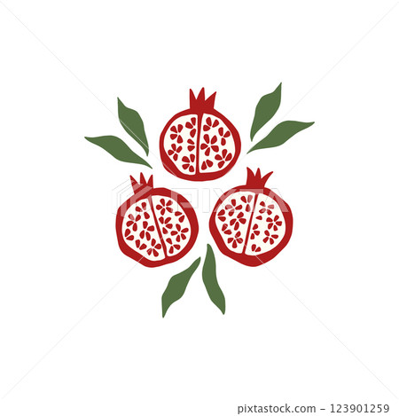 Pomegranate fruit vector illustration Pomegranate fruit vector illustration 123901259