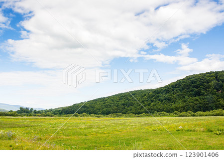 countryside landscape with field near the hill. rural outdoor adventure. beautiful nature of ukraine in summer. blue sky with clouds 123901406