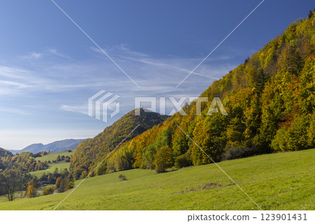Typical autumn landscape in National park Muranska Planina near Javorinka, Slovakia 123901431