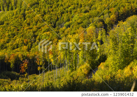 Typical autumn landscape in National park Muranska Planina, Slovakia 123901432