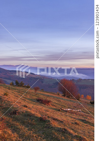 Typical landscape in National park Polana mountains, Slovakia 123901434