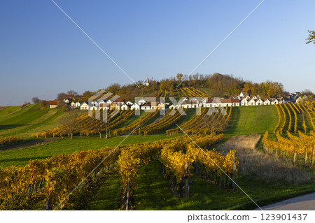 Traditional wine cellars street (kellergasse) in Galgenberg, Lower Austria, Austria 123901437