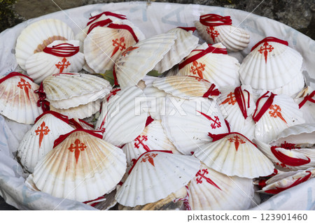 the symbol of the Way of St. James, the shell of St. Jacob the symbol of the Way of St. James, the shell of St. Jacob 123901460