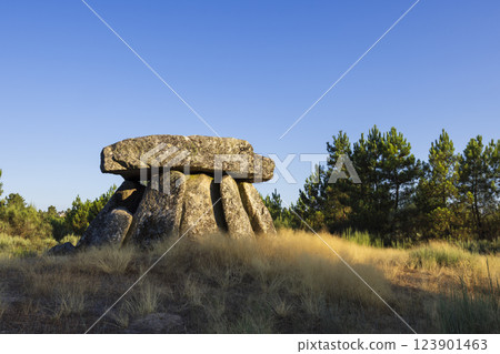 Dolmen Anta de Fonte Coberta near Alijo, Vila Cha, Portugal 123901463